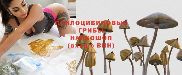 гидра Абинск