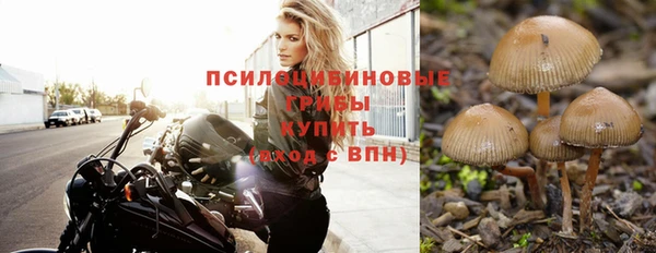 ешки Абдулино