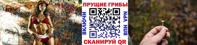 ссылка на мегу tor наркошоп Николаевск-на-Амуре сайты даркнета официальный сайт Псилоцибиновые грибы GOLDEN TEACHER
